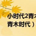 小时代2青木时代小说在线阅读（小时代2 0青木时代）
