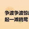 争渡争渡惊起一滩鸥鹭的原文（争渡 争渡 惊起一滩鸥鹭）