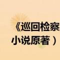 《巡回检察组》原著小说 小说（巡回检察组小说原著）