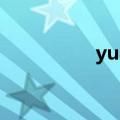 yup是什么意思（yup）