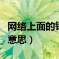 网络上面的钓鱼是什么意思（网络钓鱼是什么意思）