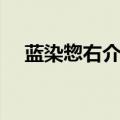 蓝染惣右介卍解视频（蓝染惣右介卍解）
