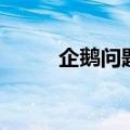 企鹅问题答案是什么（企鹅问题）