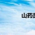 山药是什么科（山药是什么）