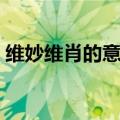 维妙维肖的意思笑的意思（维妙维肖的意思）