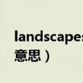 landscapes是什么意思（landscape是什么意思）