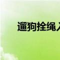 遛狗拴绳入法的意义（遛狗拴绳入法）