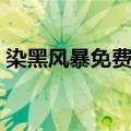 染黑风暴免费观看极速（染黑风暴免费观看）
