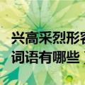 兴高采烈形容高兴的词语有哪些（形容高兴的词语有哪些）
