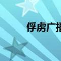俘虏广播剧bilibili（俘虏广播剧）