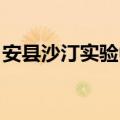 安县沙汀实验中学 官网（安县沙汀实验中学）