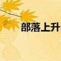 部落上升steam多少钱（部落 上升）