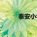 泰安小学招生2022（泰安小学）
