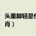 头重脚轻是什么生肖动物（头重脚轻是什么生肖）