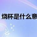 烧杯是什么意思（烧杯是什么意思网络用语）