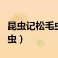 昆虫记松毛虫的特点和生活特征（昆虫记松毛虫）