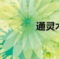 通灵术是什么意思（通灵术）