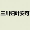 三川归叶安可以减肚子吗要是不吃了会反弹吗
