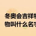 冬奥会吉祥物叫什么名字怎么念（冬奥会吉祥物叫什么名字）