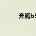 奔腾b50二手车价格（奔腾b5）