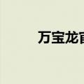 万宝龙官网旗舰店（万宝龙官网）