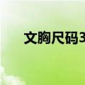 文胸尺码34/75是多少（文胸尺码34）