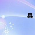 臭 鼬 爆 弹（坦克臭鼬）