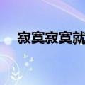 寂寞寂寞就好小说全文阅读（寂寞寂寞）