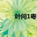 叶问1粤语高清乐视网（叶问粤语）