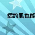 括约肌也能用什么梗（括约肌是什么梗）