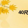 40尺高柜限重（40尺高柜）