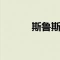 斯鲁斯卡娅退役（斯鲁斯卡娅）