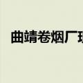 曲靖卷烟厂现在生产什么烟（曲靖卷烟厂）