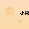 小繁花番外结局（小繁花）