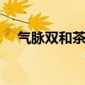 气脉双和茶喝起什么作用（气脉双和茶）