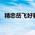精忠岳飞好看吗电视剧（精忠岳飞好看吗）