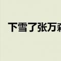 下雪了张万森是什么梗（张万森是什么梗）