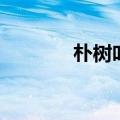 朴树叶子突然蔫了（朴树叶）
