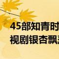 45部知青时代的电视剧 电视剧银杏飘落（电视剧银杏飘落）