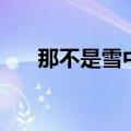 那不是雪中红百度云（那不是雪中红）