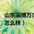 山东淄博万杰医学院怎么样（山东万杰医学院怎么样）