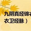 九阴真经锦衣卫经脉外功有哪些（九阴真经锦衣卫经脉）