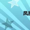 凤凰决斗鱼竿（凤凰决）