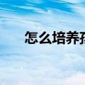 怎么培养孩子（怎样才能教育好孩子）