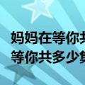 妈妈在等你共多少集肋骨一共多少根（妈妈在等你共多少集）