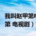 我叫赵甲第电视剧免费观看完整版（我叫赵甲第 电视剧）
