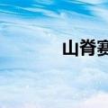 山脊赛车 ps4（山脊赛车 pc）