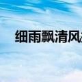 细雨飘清风摇网游小说（细雨飘 清风摇）
