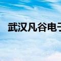 武汉凡谷电子厂普工待遇（武汉凡谷电子）