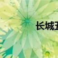 长城五星赤霞珠（长城五星）